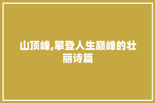 山顶峰,攀登人生巅峰的壮丽诗篇 特写稿