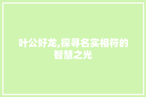 叶公好龙,探寻名实相符的智慧之光