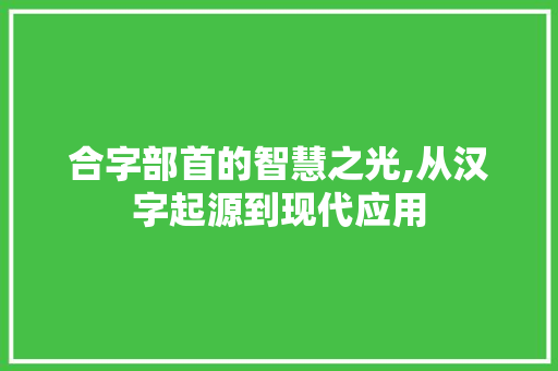 合字部首的智慧之光,从汉字起源到现代应用