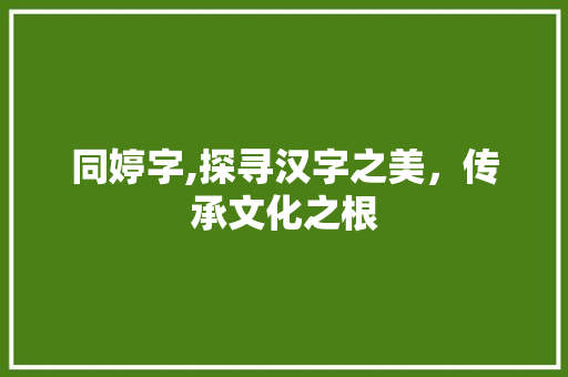 同婷字,探寻汉字之美，传承文化之根