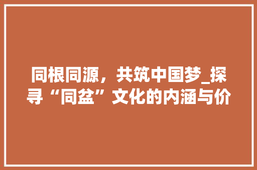 同根同源，共筑中国梦_探寻“同盆”文化的内涵与价值