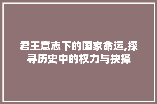 君王意志下的国家命运,探寻历史中的权力与抉择