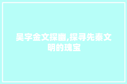 吴字金文探幽,探寻先秦文明的瑰宝