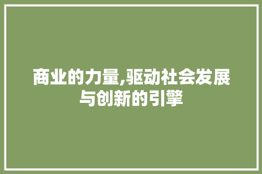 商业的力量,驱动社会发展与创新的引擎
