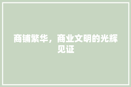 商铺繁华，商业文明的光辉见证