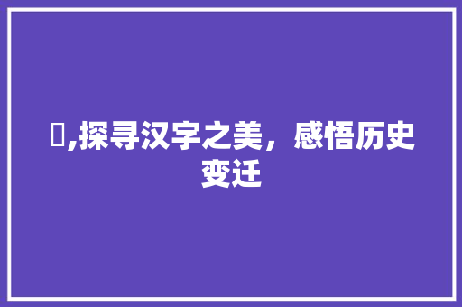 囘,探寻汉字之美，感悟历史变迁
