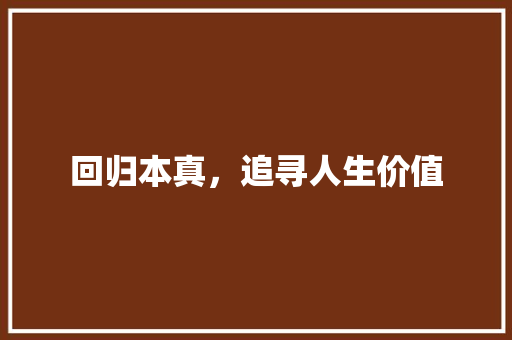 回归本真，追寻人生价值