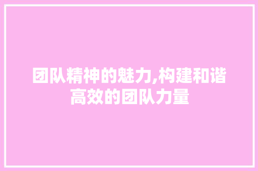 团队精神的魅力,构建和谐高效的团队力量
