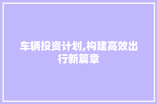 车辆投资计划,构建高效出行新篇章