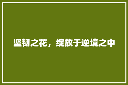 坚韧之花，绽放于逆境之中