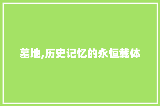 墓地,历史记忆的永恒载体
