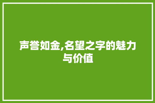 声誉如金,名望之字的魅力与价值