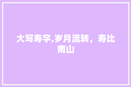 大写寿字,岁月流转，寿比南山