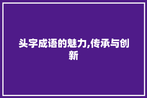 头字成语的魅力,传承与创新