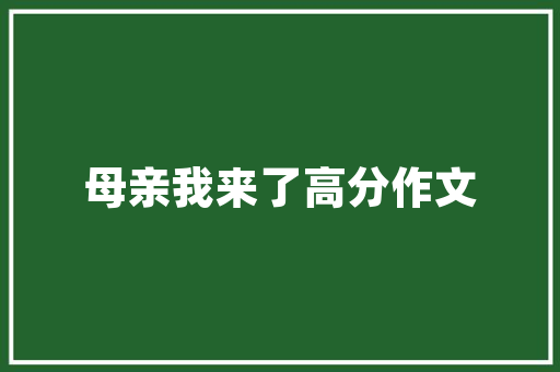 轻粘土的魅力,探索手工艺术的无限可能