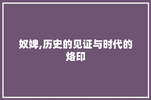 奴婢,历史的见证与时代的烙印