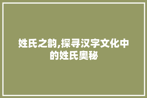 姓氏之韵,探寻汉字文化中的姓氏奥秘