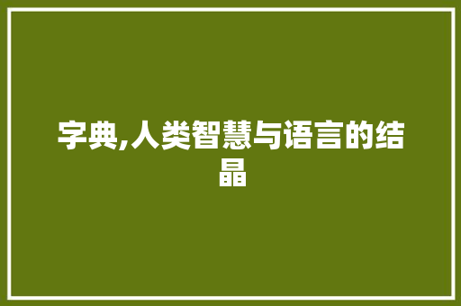 字典,人类智慧与语言的结晶 生活类