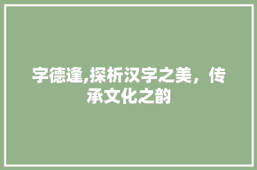 字德逢,探析汉字之美，传承文化之韵 工作报告