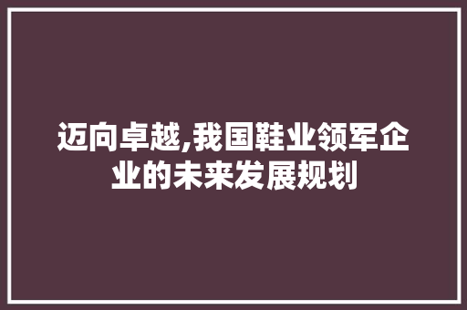 迈向卓越,我国鞋业领军企业的未来发展规划