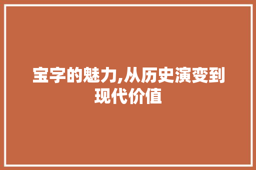 宝字的魅力,从历史演变到现代价值