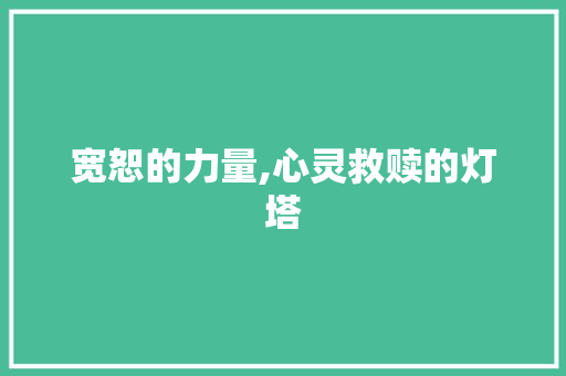 宽恕的力量,心灵救赎的灯塔