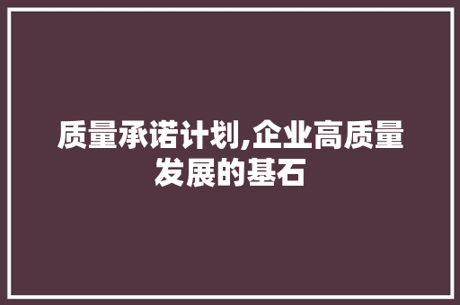 质量承诺计划,企业高质量发展的基石