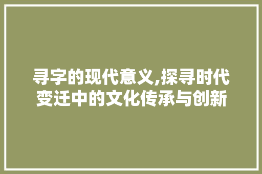 寻字的现代意义,探寻时代变迁中的文化传承与创新