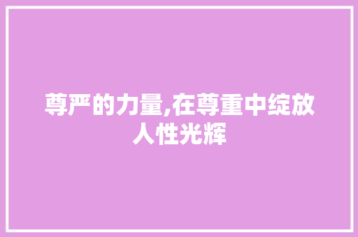 尊严的力量,在尊重中绽放人性光辉