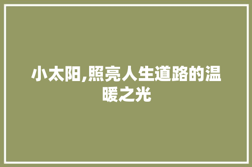 小太阳,照亮人生道路的温暖之光