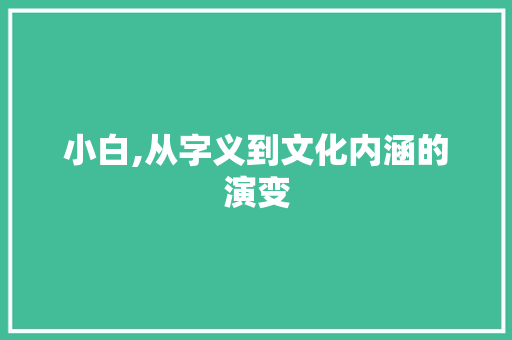 小白,从字义到文化内涵的演变
