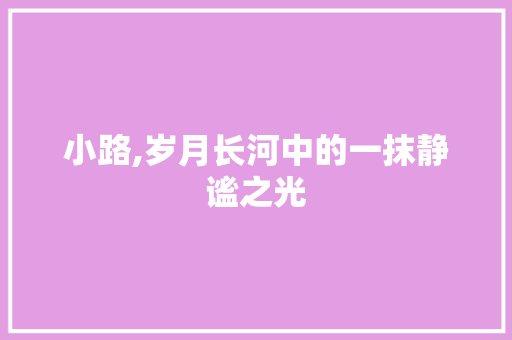 小路,岁月长河中的一抹静谧之光
