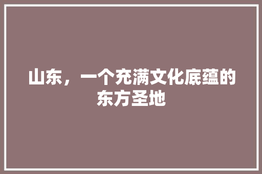 山东，一个充满文化底蕴的东方圣地