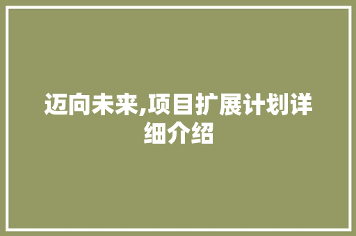 迈向未来,项目扩展计划详细介绍