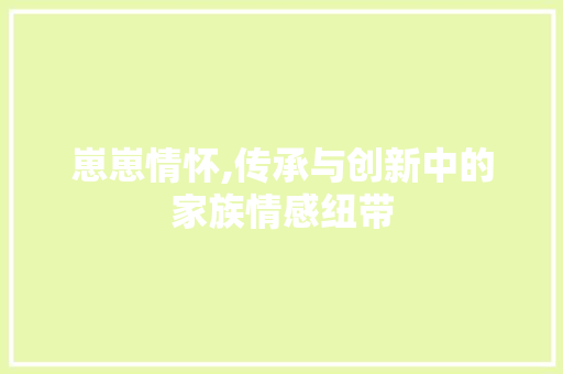 崽崽情怀,传承与创新中的家族情感纽带 工作类