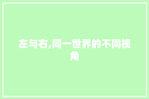 左与右,同一世界的不同视角