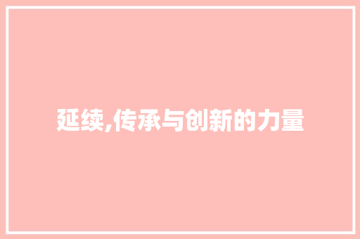 延续,传承与创新的力量