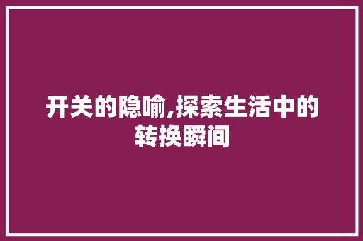 开关的隐喻,探索生活中的转换瞬间