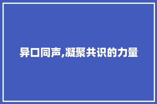 异口同声,凝聚共识的力量