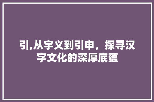 引,从字义到引申，探寻汉字文化的深厚底蕴