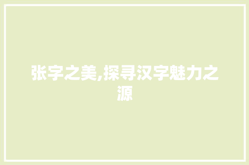 张字之美,探寻汉字魅力之源