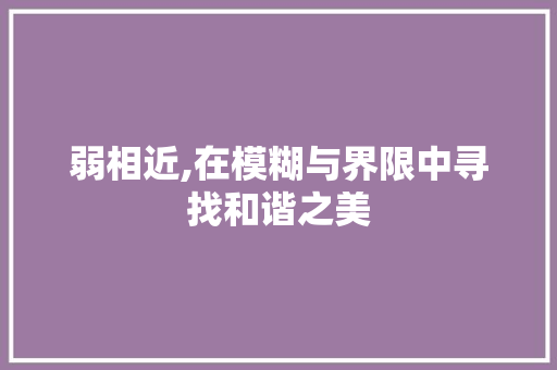 弱相近,在模糊与界限中寻找和谐之美
