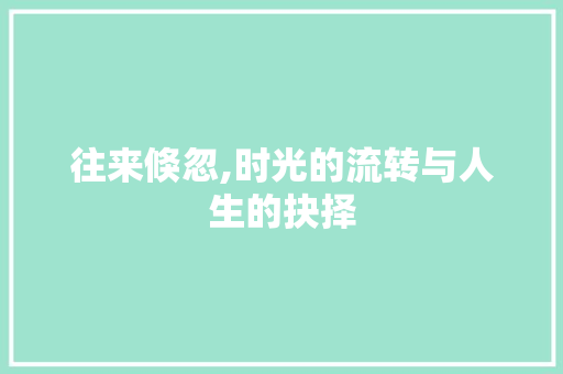 往来倏忽,时光的流转与人生的抉择