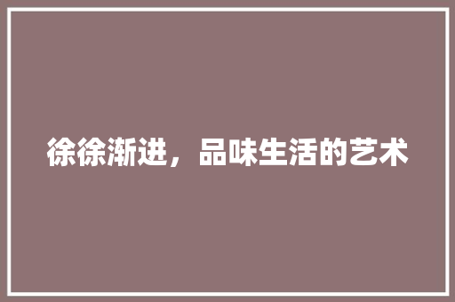 徐徐渐进，品味生活的艺术 工作总结