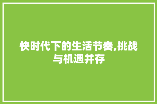快时代下的生活节奏,挑战与机遇并存
