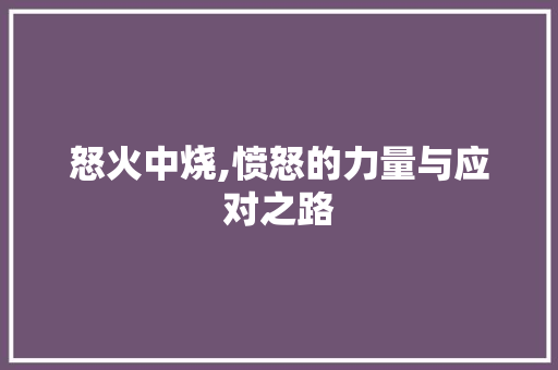 怒火中烧,愤怒的力量与应对之路