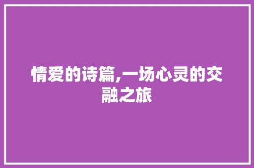 情爱的诗篇,一场心灵的交融之旅