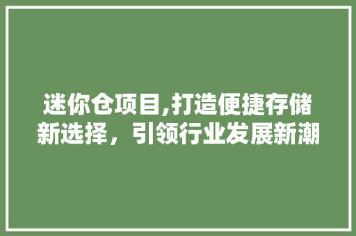 迷你仓项目,打造便捷存储新选择，引领行业发展新潮流