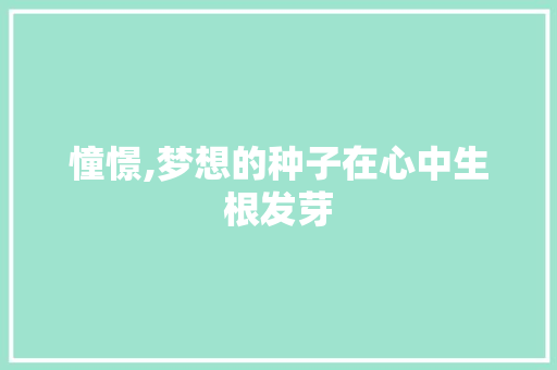 憧憬,梦想的种子在心中生根发芽