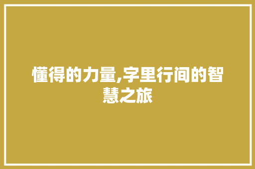 懂得的力量,字里行间的智慧之旅 工作类